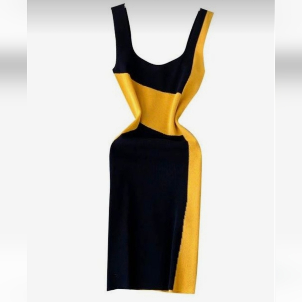 Black and Yellow Dress